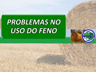 PROBLEMAS NO
 USO DO FENO
 