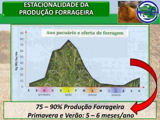 ESTACIONALIDADE DA
PRODUÇÃO FORRAGEIRA




     75 – 90% Produção Forrageira
  Primavera e Verão: 5 – 6 meses/ano   3
 