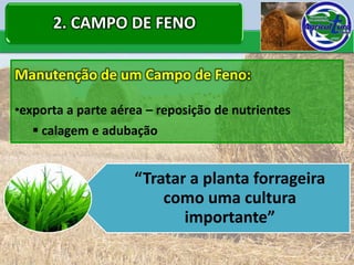 2. CAMPO DE FENO

Manutenção de um Campo de Feno:

•exporta a parte aérea – reposição de nutrientes
    calagem e adubação


                    “Tratar a planta forrageira
                        como uma cultura
                           importante”
 