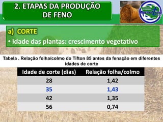 2. ETAPAS DA PRODUÇÃO
             DE FENO
  a) CORTE
  • Idade das plantas: crescimento vegetativo

Tabela . Relação folha/colmo do Tifton 85 antes da fenação em diferentes
                            idades de corte
        Idade de corte (dias)        Relação folha/colmo
                 28                          1,42
                 35                          1,43
                 42                          1,35
                 56                          0,74
 