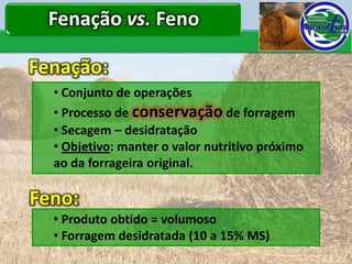 Fenação vs. Feno

Fenação:
  • Conjunto de operações
  • Processo de conservação de forragem
  • Secagem – desidratação
  • Objetivo: manter o valor nutritivo próximo
  ao da forrageira original.

Feno:
  • Produto obtido = volumoso
  • Forragem desidratada (10 a 15% MS)
 