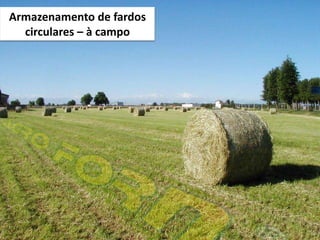 Armazenamento de fardos
  circulares – à campo
 