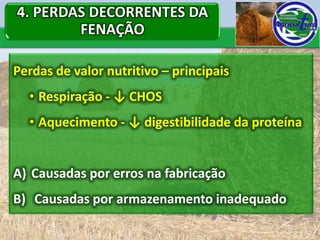 4. PERDAS DECORRENTES DA
        FENAÇÃO

Perdas de valor nutritivo – principais
  • Respiração - ↓ CHOS
  • Aquecimento - ↓ digestibilidade da proteína


A) Causadas por erros na fabricação
B) Causadas por armazenamento inadequado
 