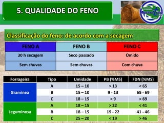 5. QUALIDADE DO FENO

Classificação do feno: de acordo com a secagem
       FENO A               FENO B                  FENO C
    30 h secagem          Seco passado              Úmido

     Sem chuvas           Sem chuvas            Com chuva


 Forrageira        Tipo     Umidade      PB (%MS)      FDN (%MS)
                    A        15 – 10        > 13          < 65
 Gramínea            B       15 – 10       9 - 13        65 - 69
                     C       18 – 15         <9           > 69
                    A        18 – 15        > 22          < 41
Leguminosa           B       18 – 15      19 - 22        41 - 46
                     C       25 – 20        < 19          > 46
 