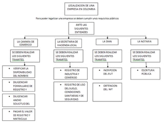 Rafael jesus gerardino c