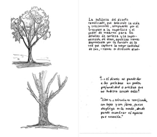 Rafaella osorio corvetto proceso de estudio.pdf