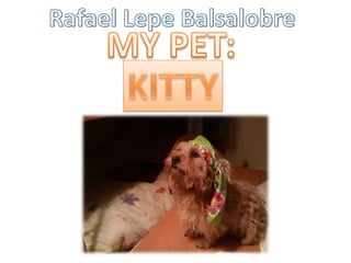 Rafael Lepe Balsalobre MY PET:  KITTY 