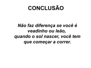 CONCLUSÃO


 Não faz diferença se você é
     veadinho ou leão,
quando o sol nascer, você tem
   que começar a correr.
 