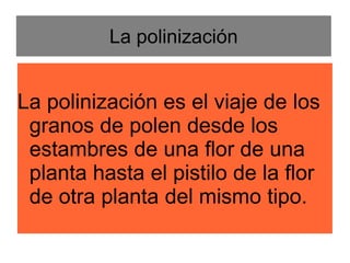 La polinización
La polinización es el viaje de los
granos de polen desde los
estambres de una flor de una
planta hasta el pistilo de la flor
de otra planta del mismo tipo.
 