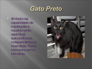 Símbolo da capacidade de meditação e recolhimento espiritual, autoconfiança, independência e liberdade. Plena harmonia com o Universo. 