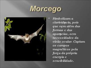 Simbolizam a clarividência, pois que vêem além das formas e das aparências, sem necessidades da visão ocular. Captam os campos magnéticos pela força da própria energia e sensibilidade. 