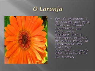 Cor da vitalidade e da energia que gera força. Os druidas acreditavam que nesta noite, passagem para o Ano Novo, espíritos de outros planos se aproximavam dos vivos para vampirizar a energia vital encontrada na cor laranja. 