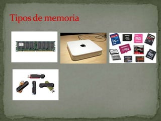 Rafael s  nº21 e rafael p-8ºb nº22