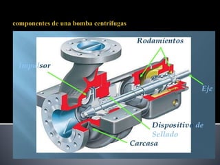 presentación de bombas centrifugas 