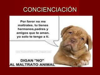 CONCIENCIACIÓNCONCIENCIACIÓN
 