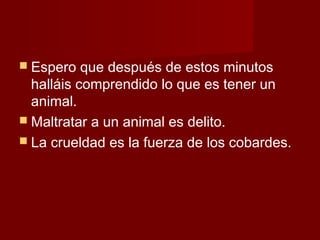 Espero que después de estos minutos
halláis comprendido lo que es tener un
animal.
 Maltratar a un animal es delito.
 La crueldad es la fuerza de los cobardes.
 
