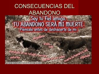 CONSECUENCIAS DELCONSECUENCIAS DEL
ABANDONOABANDONO
 