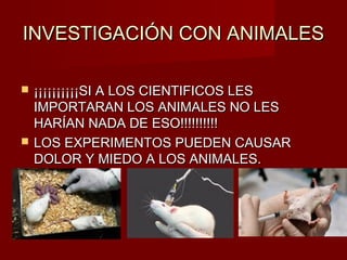 INVESTIGACIÓN CON ANIMALESINVESTIGACIÓN CON ANIMALES
 ¡¡¡¡¡¡¡¡¡¡SI A LOS CIENTIFICOS LES¡¡¡¡¡¡¡¡¡¡SI A LOS CIENTIFICOS LES
IMPORTARAN LOS ANIMALES NO LESIMPORTARAN LOS ANIMALES NO LES
HARÍAN NADA DE ESO!!!!!!!!!!HARÍAN NADA DE ESO!!!!!!!!!!
 LOS EXPERIMENTOS PUEDEN CAUSARLOS EXPERIMENTOS PUEDEN CAUSAR
DOLOR Y MIEDO A LOS ANIMALES.DOLOR Y MIEDO A LOS ANIMALES.
 