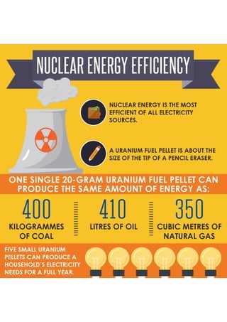 Nuclear Energy Efficiency 