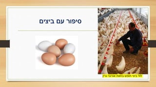 ‫ביצים‬ ‫עם‬ ‫סיפור‬
‫גרין‬ ‫אורגני‬ ‫בחוות‬ ‫חופש‬ ‫ביצי‬ ‫לול‬
 