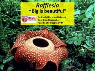 Rafflesia
“ Big is beautiful”
    Dr. Khalid Rehman Hakeem
    Post Doc. Researcher
    Faculty of Forestry, UPM
 