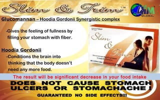 Glucomannan – Hoodia Gordonii Synergistic complex

  -Gives the feeling of fullness by
  filling your stomach with fiber.

Hoodia Gordonii
 -Conditions the brain into
  thinking that the body doesn’t
  need any more food.
     The result will be significant decrease in your food intake
 