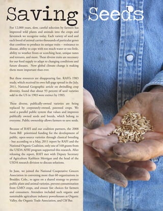 For 12,000 years, slow, careful selection by farmers has
improved wild plants and animals into the crops and
lievestock we recognize today. Each variety of seed and
each breed of animal carries thousands of particular genes
that combine to produce its unique traits – resistance to
disease, ability to cope with too much water or too little,
ability to weather frosts or scorching heat, unique tastes
and textures, and more. These diverse traits are necessary
for our food supply to adapt to changing conditions and
future diseases. Now global climate change is making
them more important than ever.
But these resources are disappearing fast. RAFI’s 1983
study, which received its own full-page spread in the July,
2011, National Geographic article on dwindling crop
diversity, found that about 93 percent of seed varieties
sold in the US in 1903 were extinct by 1983.
These diverse, publically-owned varieties are being
replaced by corporately-owned, patented crops. We
need a parallel public system that values and improves
publically owned seeds and breeds, which belong to
everyone. Public ownership allows farmers to save seeds.
Because of RAFI and our coalition partners, the 2008
Farm Bill prioritized funding for the development of
public, open-source varieties through classical breeding
- but according to a May, 2011 report by RAFI and the
National Organic Coalition, only one of 168 grants from
the USDA AFRI program supported this research. After
releasing the report, RAFI met with Deputy Secretary
of Agriculture Kathleen Merrigan and the head of the
USDA research division to discuss solutions.
In June, we joined the National Cooperative Grocers
Association in convening more than 60 organizations in
Boulder, Colo., to agree on a shared strategy to protect
public plant and animal varieties, prevent contamination
from GMO crops, and ensure fair choices for farmers
and consumers. Attendees included such organic and
sustainable agriculture industry powerhouses as Organic
Valley, the Organic Trade Association, and Clif Bar.
Saving Seeds
 