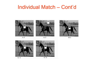 Individual Match – Cont’d 