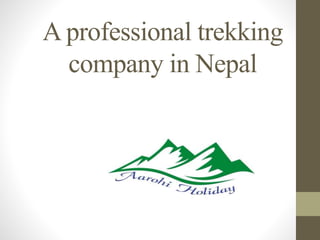 A professional trekking
company in Nepal
 