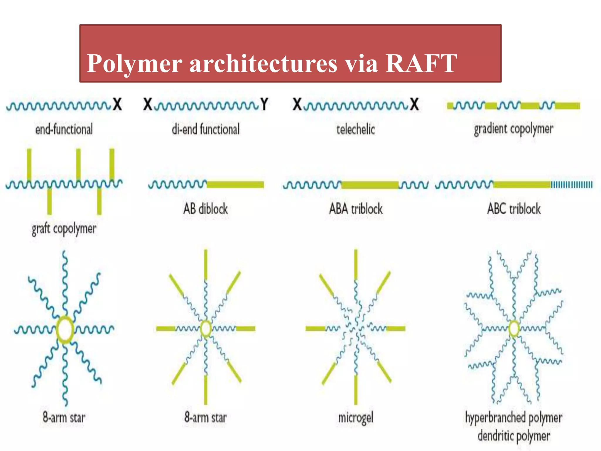 Polymer architectures via RAFT
 