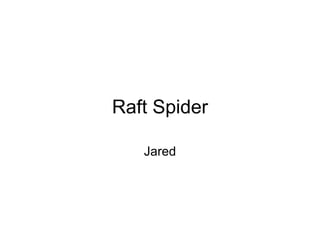 Raft Spider Jared 