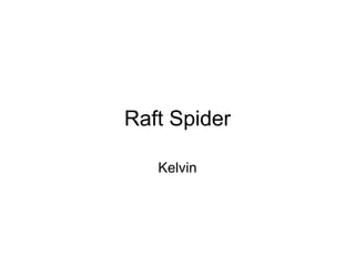 Raft Spider Kelvin 