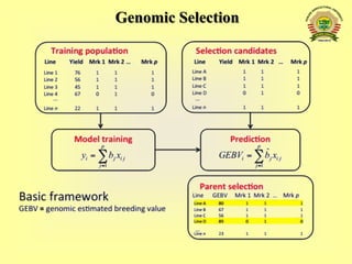 Whole Genome Selection | PPTX