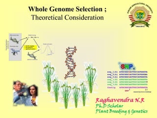 Whole Genome Selection ;
Theoretical Consideration

Raghavendra N.R

Ph.D Scholar
Plant Breeding & Genetics

 