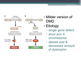 Comprehensive Overview of Muscular Dystrophy Types, Causes, and ...