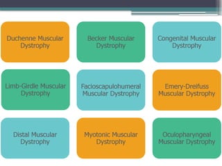 Comprehensive Overview of Muscular Dystrophy Types, Causes, and ...