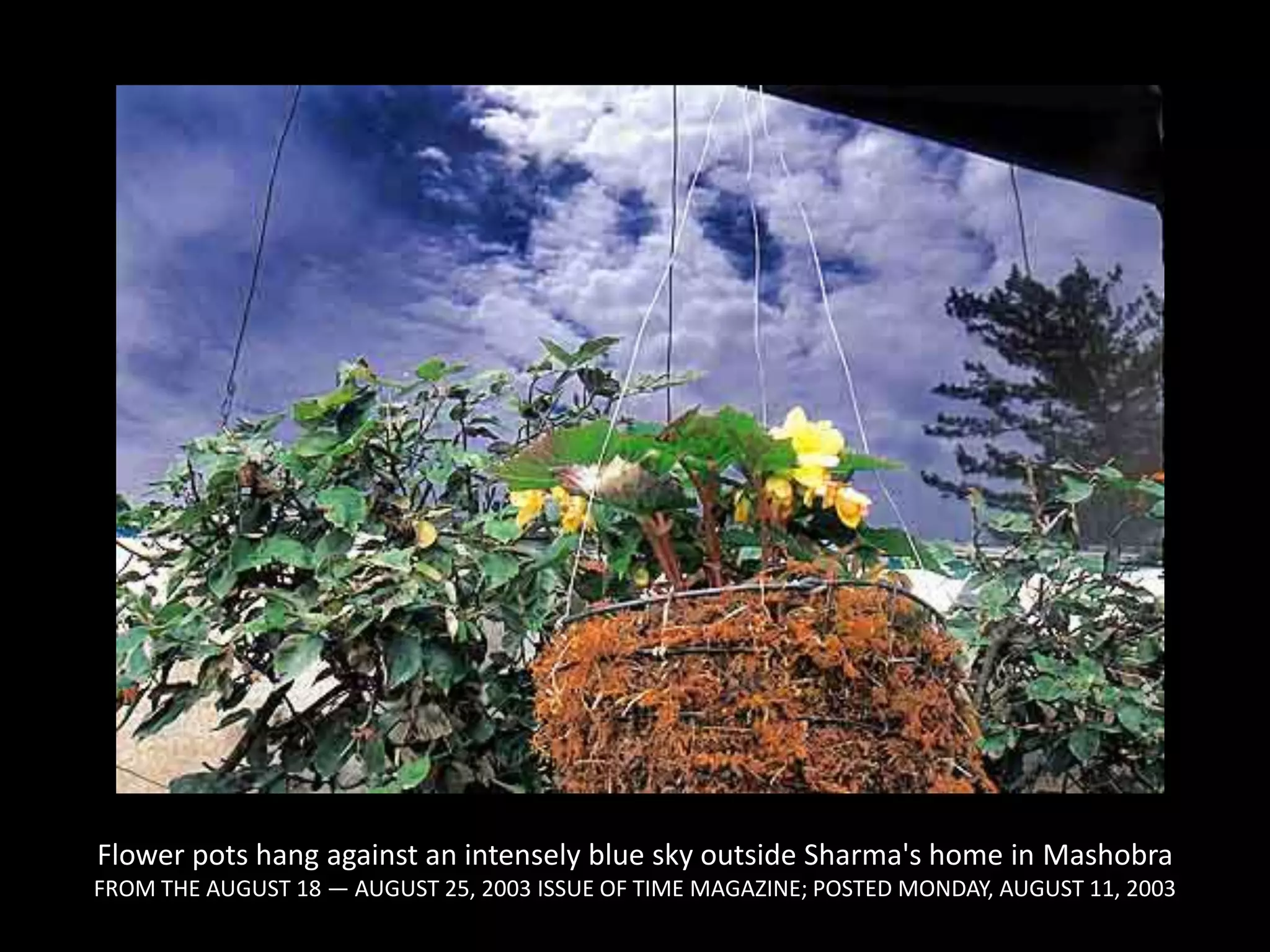 Flower pots hang against an intensely blue sky outside Sharma's home in MashobraFROM THE AUGUST 18 — AUGUST 25, 2003 ISSUE OF TIME MAGAZINE; POSTED MONDAY, AUGUST 11, 2003