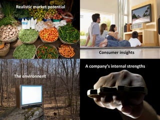 Realistic market potential




                                   Consumer insights

                             A company’s internal strengths

The environnent
 