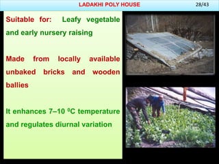 LADAKHI POLY HOUSE
Suitable for: Leafy vegetable
and early nursery raising
Made from locally available
unbaked bricks and wooden
ballies
It enhances 7–10 0C temperature
and regulates diurnal variation
28/43
 