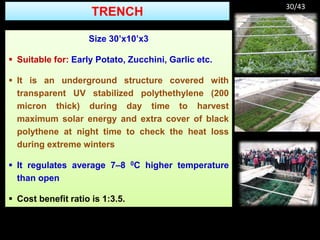 TRENCH
Size 30’x10’x3
 Suitable for: Early Potato, Zucchini, Garlic etc.
 It is an underground structure covered with
transparent UV stabilized polythethylene (200
micron thick) during day time to harvest
maximum solar energy and extra cover of black
polythene at night time to check the heat loss
during extreme winters
 It regulates average 7–8 0C higher temperature
than open
 Cost benefit ratio is 1:3.5.
30/43
 
