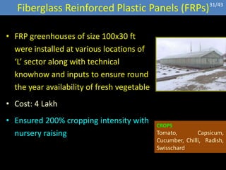 Fiberglass Reinforced Plastic Panels (FRPs)
• FRP greenhouses of size 100x30 ft
were installed at various locations of
‘L’ sector along with technical
knowhow and inputs to ensure round
the year availability of fresh vegetable
• Cost: 4 Lakh
• Ensured 200% cropping intensity with
nursery raising
CROPS
Tomato, Capsicum,
Cucumber, Chilli, Radish,
Swisschard
31/43
 