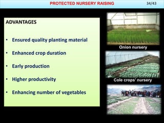 PROTECTED NURSERY RAISING
ADVANTAGES
• Ensured quality planting material
• Enhanced crop duration
• Early production
• Higher productivity
• Enhancing number of vegetables
Onion nursery
Cole crops’ nursery
Nursery distribution
34/43
 
