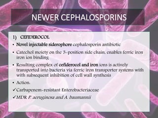 Recent Advances in Management of Gram Negative Bacteria | PPTX
