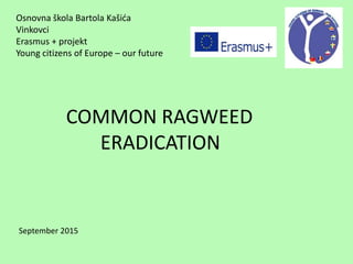 Osnovna škola Bartola Kašića
Vinkovci
Erasmus + projekt
Young citizens of Europe – our future
September 2015
COMMON RAGWEED
ERADICATION
 