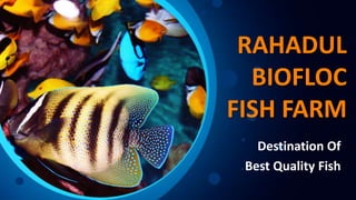 RAHADUL
BIOFLOC
FISH FARM
Destination Of
Best Quality Fish
 