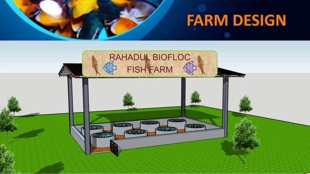 RAHADUL BIOFLOC FISH FARM.pptx