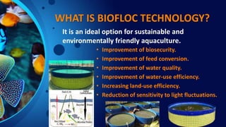 RAHADUL BIOFLOC FISH FARM.pptx