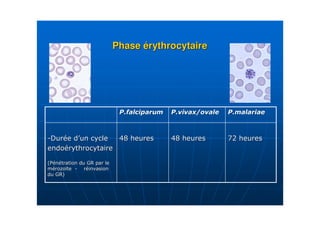 Phase érythrocytaire




1         2          )#         )#         &!


3             4/
     -.         5
    4 6
     /
 