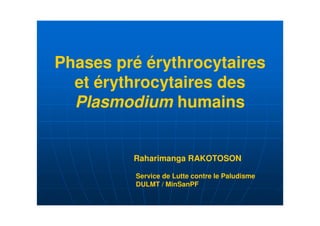 Phases pré érythrocytaires
  et érythrocytaires des
  Plasmodium humains


         Raharimanga RAKOTOSON

          Service de Lutte contre le Paludisme
          DULMT / MinSanPF
 