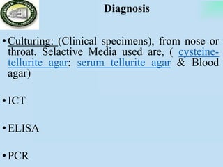 Diagnosis
•Culturing: (Clinical specimens), from nose or
throat. Selactive Media used are, ( cysteine-
tellurite agar; serum tellurite agar & Blood
agar)
•ICT
•ELISA
•PCR
 